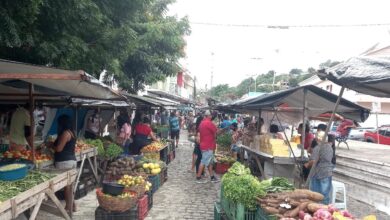 Photo of Projeto homenageia centenário de Ismael Freire na feira de Bananeiras